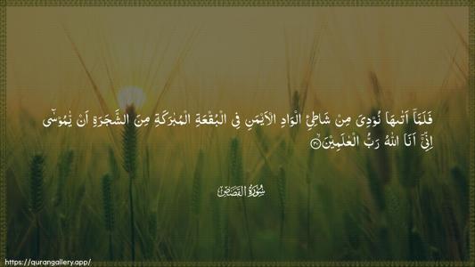 Al-Qasas Ayah 30 - Arabic (Wide) wallpaper
