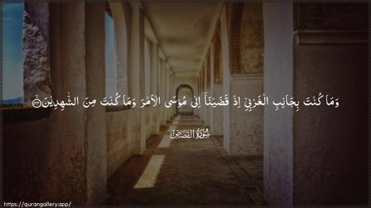 Al-Qasas Ayah 44 - Arabic (Wide) wallpaper