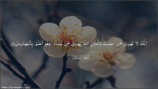Al-Qasas Ayah 56 - Arabic (Wide) wallpaper