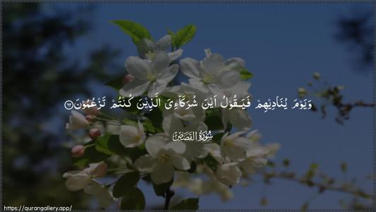 Al-Qasas Ayah 62 - Arabic (Wide) wallpaper
