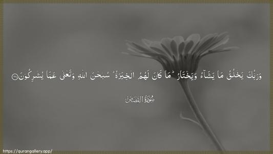 Al-Qasas Ayah 68 - Arabic (Wide) wallpaper