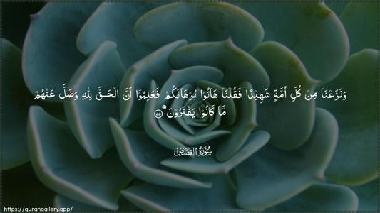 Al-Qasas Ayah 75 - Arabic (Wide) wallpaper
