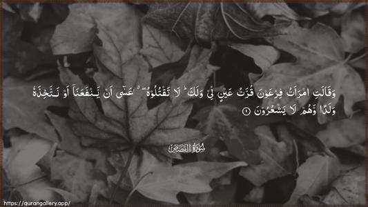Al-Qasas Ayah 9 - Arabic (Wide) wallpaper
