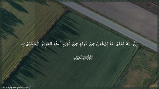 Al-Ankaboot Ayah 42 - Arabic (Wide) wallpaper