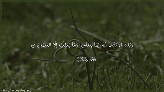 Al-Ankaboot Ayah 43 - Arabic (Wide) wallpaper