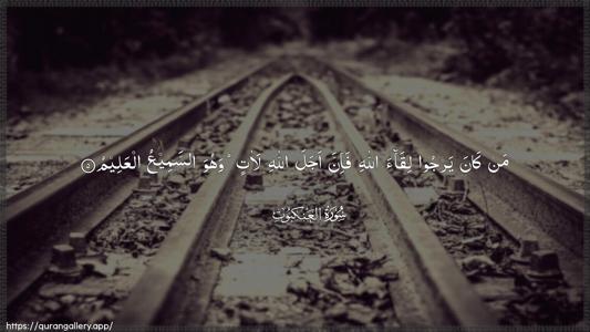 Al-Ankaboot Ayah 5 - Arabic (Wide) wallpaper