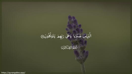 Al-Ankaboot Ayah 59 - Arabic (Wide) wallpaper