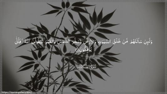 Al-Ankaboot Ayah 61 - Arabic (Wide) wallpaper