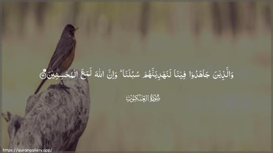 Al-Ankaboot Ayah 69 - Arabic (Wide) wallpaper