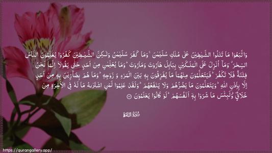 Al-Baqara Ayah 102 - Arabic (Wide) wallpaper