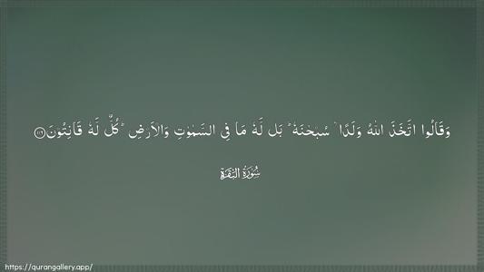 Al-Baqara Ayah 116 - Arabic (Wide) wallpaper