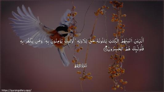 Al-Baqara Ayah 121 - Arabic (Wide) wallpaper