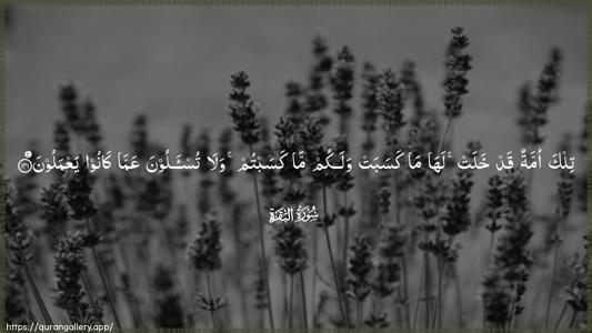 Al-Baqara Ayah 141 - Arabic (Wide) wallpaper