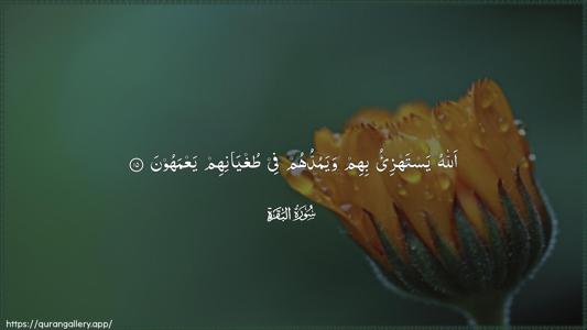 Al-Baqara Ayah 15 - Arabic (Wide) wallpaper