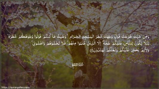 Al-Baqara Ayah 150 - Arabic (Wide) wallpaper