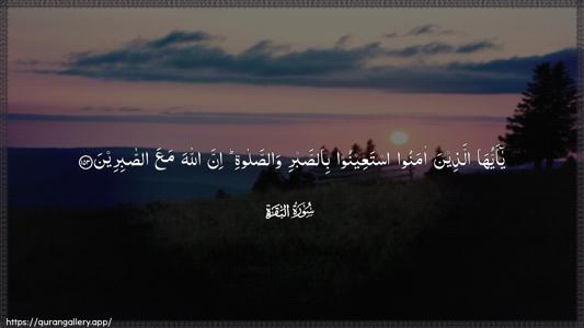Al-Baqara Ayah 153 - Arabic (Wide) wallpaper
