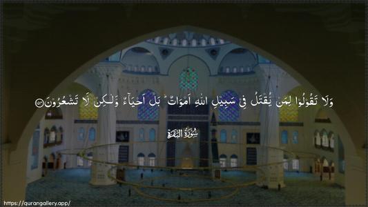 Al-Baqara Ayah 154 - Arabic (Wide) wallpaper