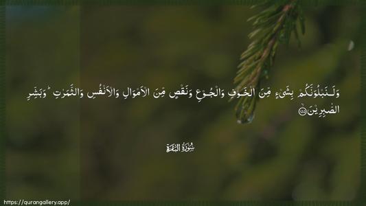 Al-Baqara Ayah 155 - Arabic (Wide) wallpaper