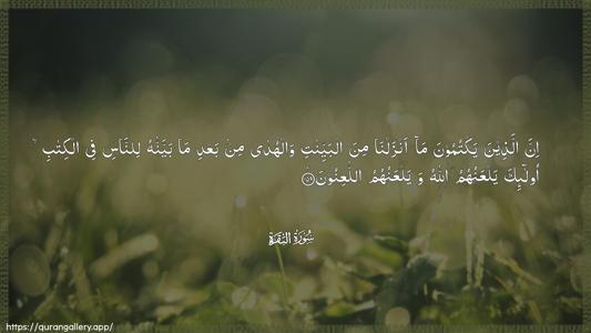 Al-Baqara Ayah 159 - Arabic (Wide) wallpaper