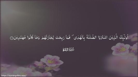 Al-Baqara Ayah 16 - Arabic (Wide) wallpaper