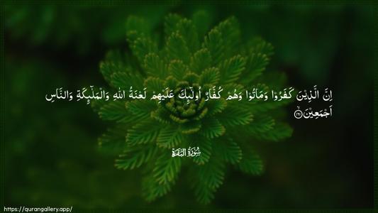 Al-Baqara Ayah 161 - Arabic (Wide) wallpaper