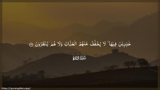 Al-Baqara Ayah 162 - Arabic (Wide) wallpaper