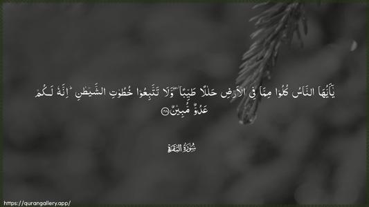 Al-Baqara Ayah 168 - Arabic (Wide) wallpaper