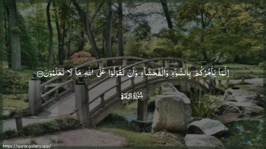 Al-Baqara Ayah 169 - Arabic (Wide) wallpaper