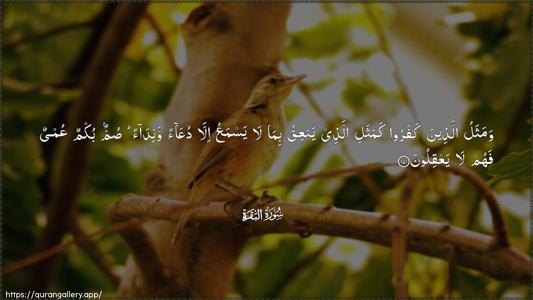 Al-Baqara Ayah 171 - Arabic (Wide) wallpaper