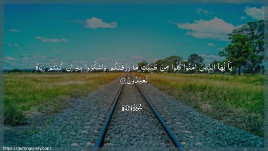 Al-Baqara Ayah 172 - Arabic (Wide) wallpaper