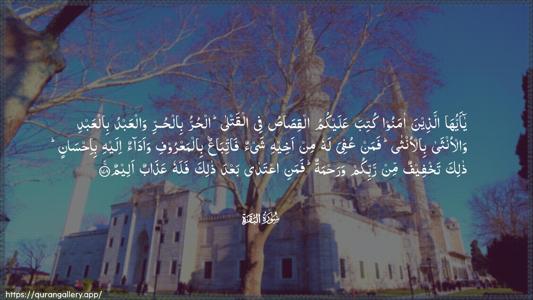 Al-Baqara Ayah 178 - Arabic (Wide) wallpaper