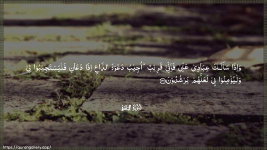Al-Baqara Ayah 186 - Arabic (Wide) wallpaper