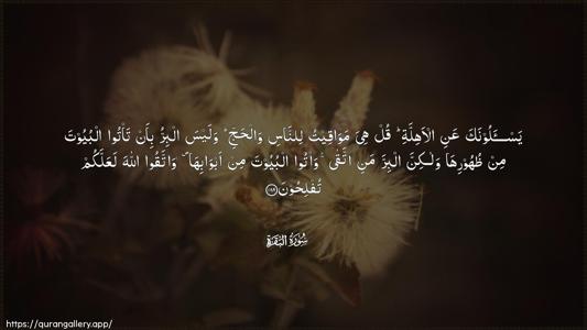 Al-Baqara Ayah 189 - Arabic (Wide) wallpaper