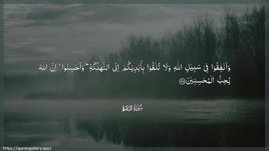 Al-Baqara Ayah 195 - Arabic (Wide) wallpaper