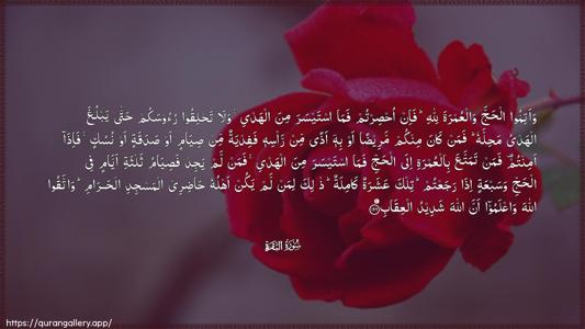 Al-Baqara Ayah 196 - Arabic (Wide) wallpaper