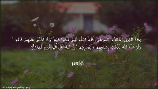 Al-Baqara Ayah 20 - Arabic (Wide) wallpaper