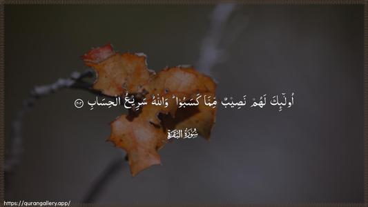 Al-Baqara Ayah 202 - Arabic (Wide) wallpaper
