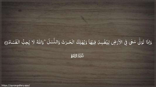 Al-Baqara Ayah 205 - Arabic (Wide) wallpaper