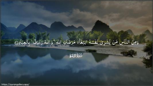 Al-Baqara Ayah 207 - Arabic (Wide) wallpaper