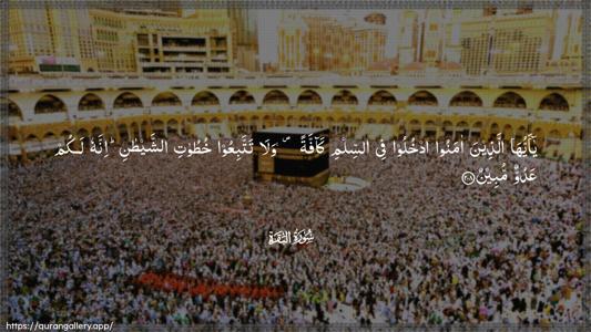 Al-Baqara Ayah 208 - Arabic (Wide) wallpaper