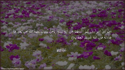 Al-Baqara Ayah 211 - Arabic (Wide) wallpaper