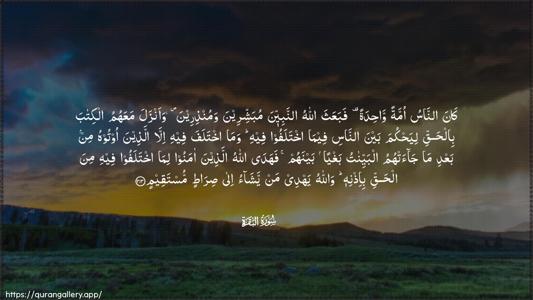 Al-Baqara Ayah 213 - Arabic (Wide) wallpaper