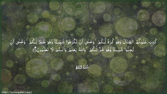 Al-Baqara Ayah 216 - Arabic (Wide) wallpaper