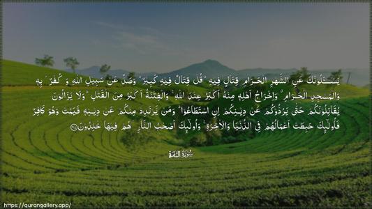 Al-Baqara Ayah 217 - Arabic (Wide) wallpaper