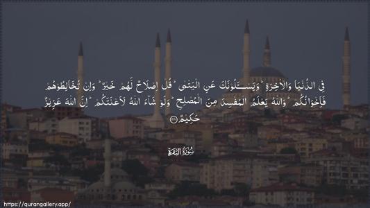 Al-Baqara Ayah 220 - Arabic (Wide) wallpaper