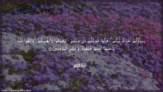 Al-Baqara Ayah 223 - Arabic (Wide) wallpaper
