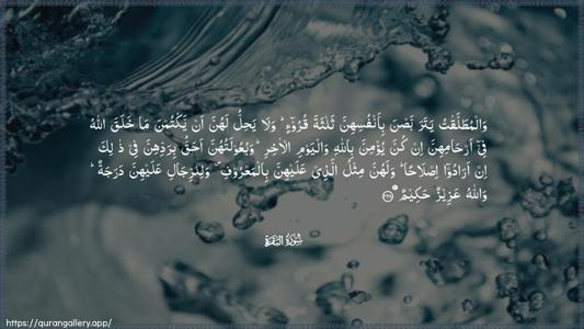 Al-Baqara Ayah 228 - Arabic (Wide) wallpaper