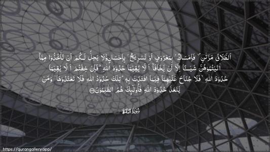 Al-Baqara Ayah 229 - Arabic (Wide) wallpaper