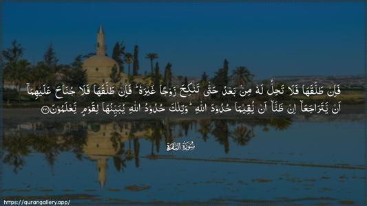 Al-Baqara Ayah 230 - Arabic (Wide) wallpaper