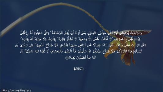 Al-Baqara Ayah 233 - Arabic (Wide) wallpaper